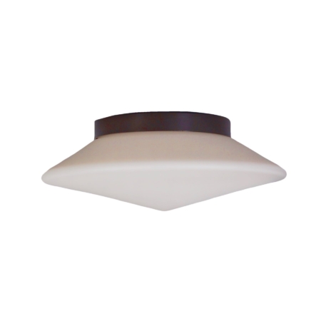 Grote Discus Plafondlamp van RAAK - 35 cm, 1960s