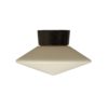 Raak Discus Plafondlamp