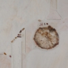 Natuurstenen Kingma Salontafel van Paul Kingma, 2001 &#8211; Vierkant 90 cm
