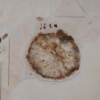 Natuurstenen Kingma Salontafel van Paul Kingma, 2001 &#8211; Vierkant 90 cm