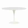 Tulip Set – Ronde Eettafel met Vier Stoelen van Pastoe, 1970s