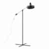 Costes Eetkamer stoelen van Philippe Starck voor Driade, 2000s – 2 stuks