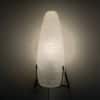 Wandlamp NX18 E/00 van Satijnglas voor Philips, 1958