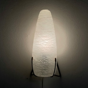 Wandlamp NX18 E/00 van Satijnglas voor Philips, 1958