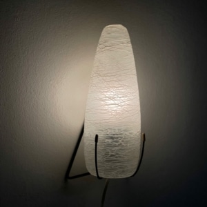 Wandlamp NX18 E/00 van Satijnglas voor Philips, 1958